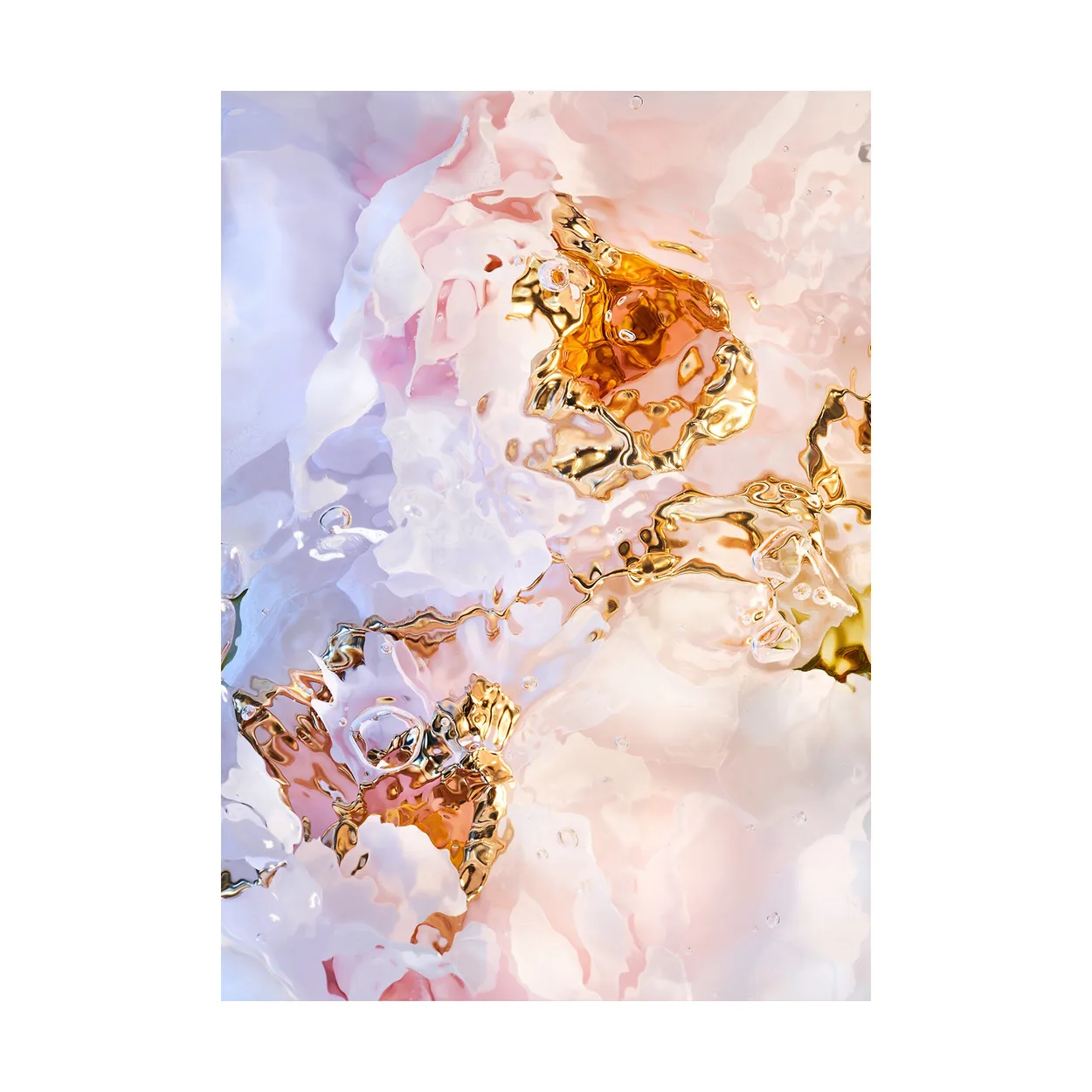 Paper Collective Flora Aquatica 03 poster 50x70 cm | Scandinavian Design | Posters | Multi