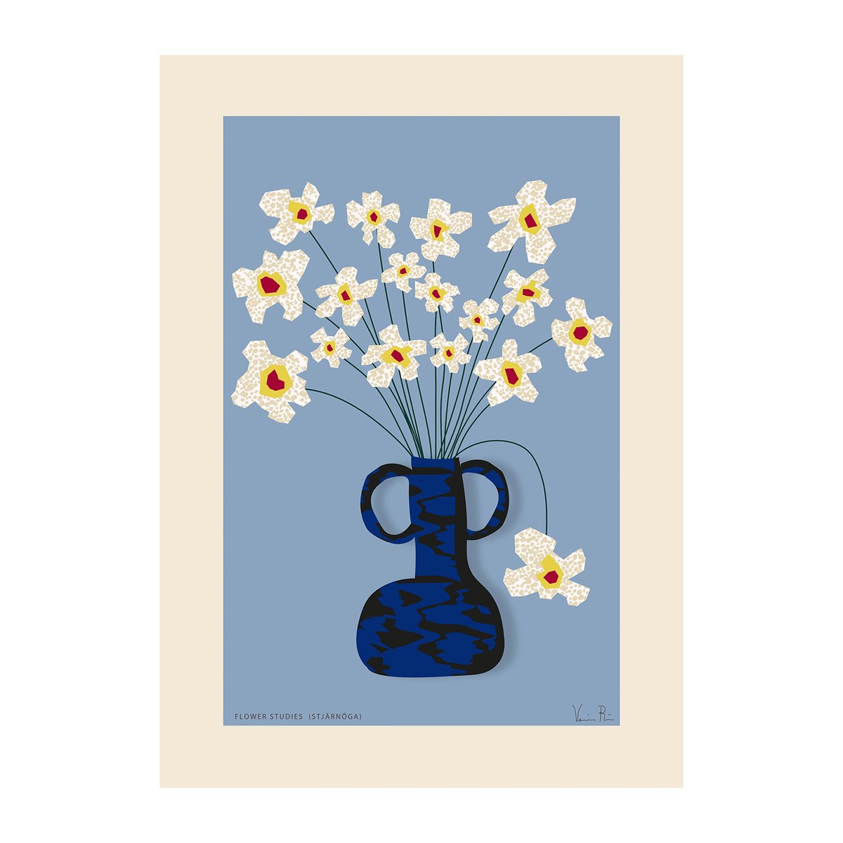 Paper Collective Flower Studies 04 (Stjärnöga) poster 50x70 cm