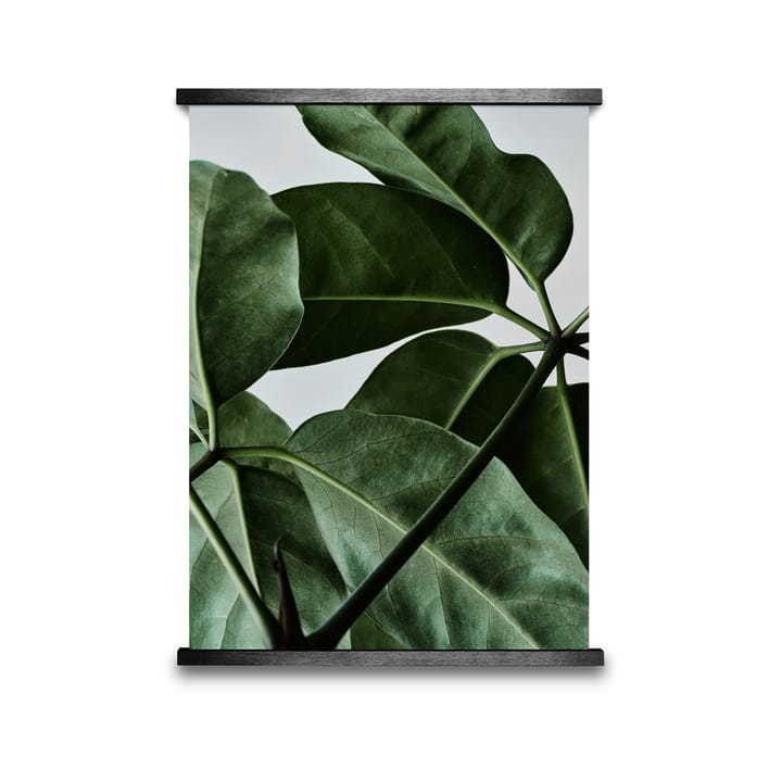 Green Home 01 poster - 30x40 cm - Paper Collective