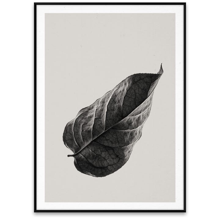 Sabi Leaf 01 poster - 50x70 cm - Paper Collective