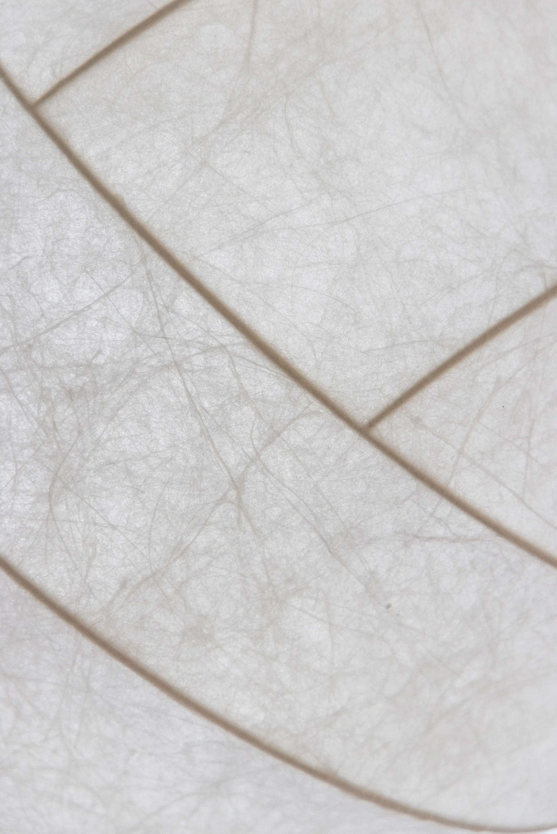 Turner 80 pendant, White Pholc