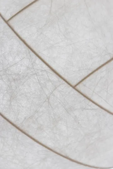 Turner 80 pendant - White - Pholc