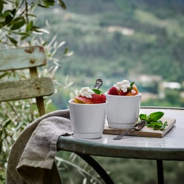 Toulouse ramekin - 5 cl - Pillivuyt