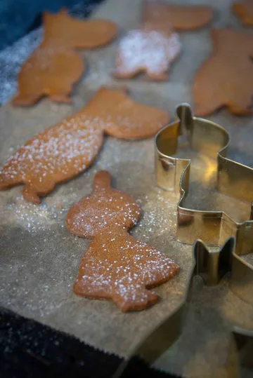 Moomin winter gingerbread cutters, set of 3 - Little My Moominpappa, Moomintroll - Pluto Design
