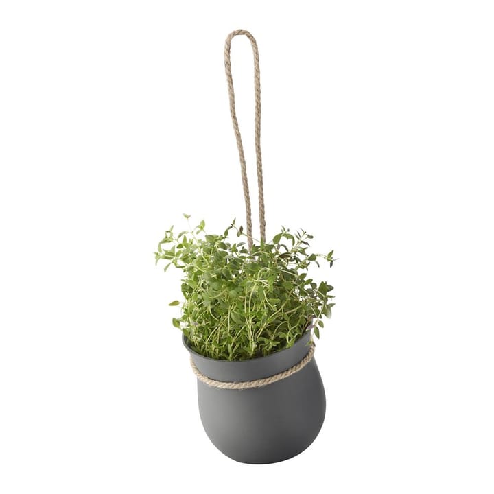 Grow-It herb pot Ø13 cm - grey - RIG-TIG