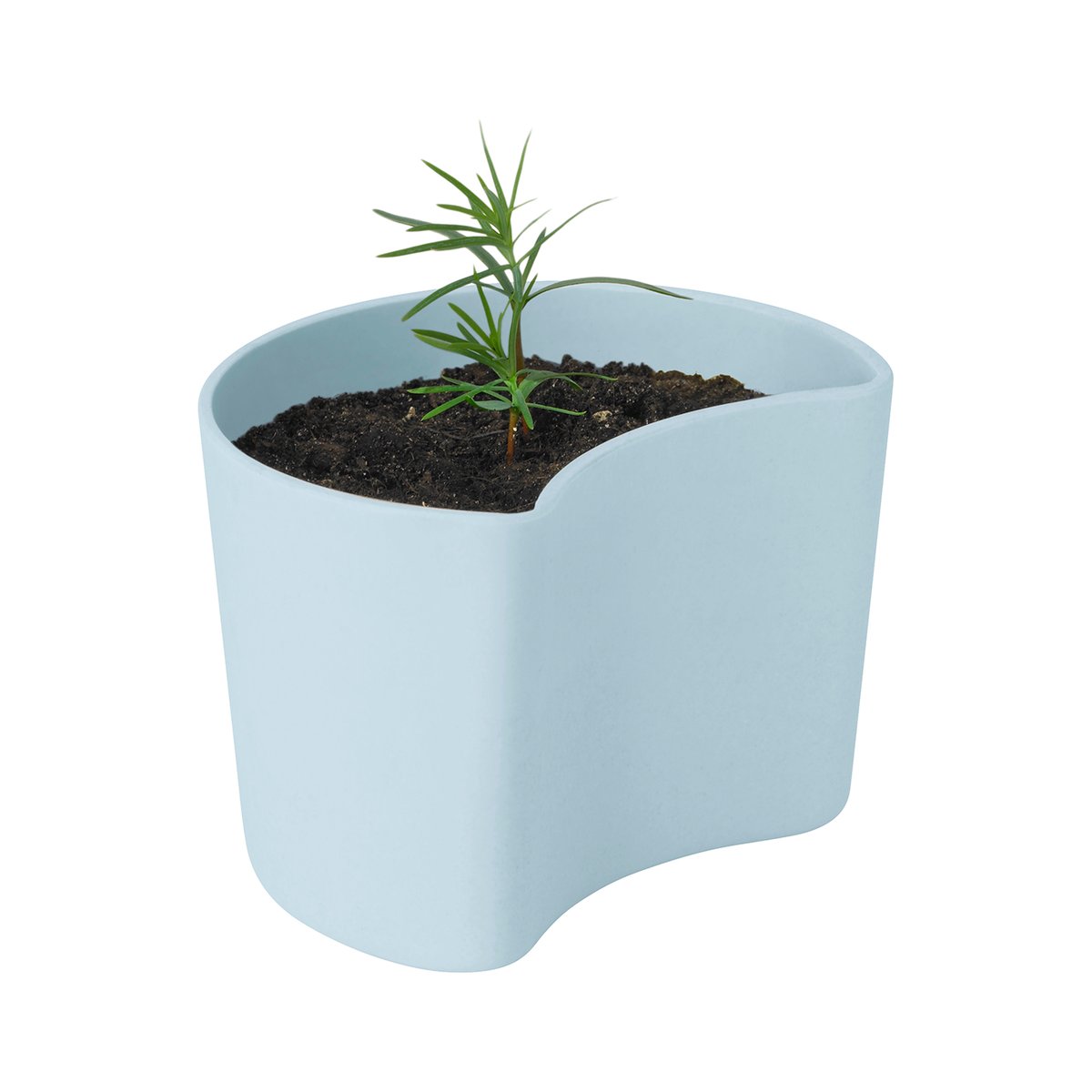 RIG-TIG YOUR TREE pot with seeds Blue (Pine) | Scandinavian Design | Flower pots | Blue