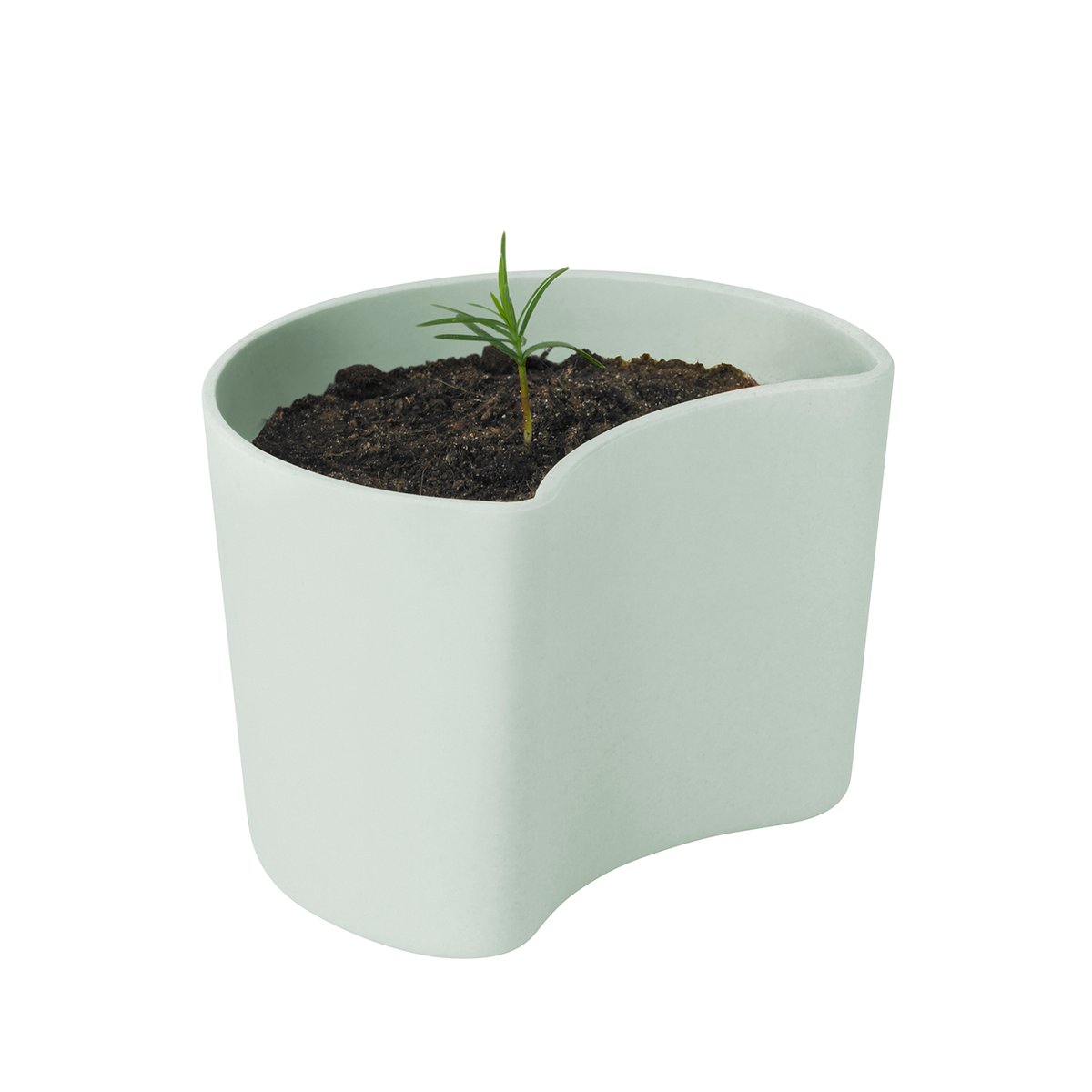 RIG-TIG YOUR TREE pot with seeds Green (Pine) | Scandinavian Design | Flower pots | Green