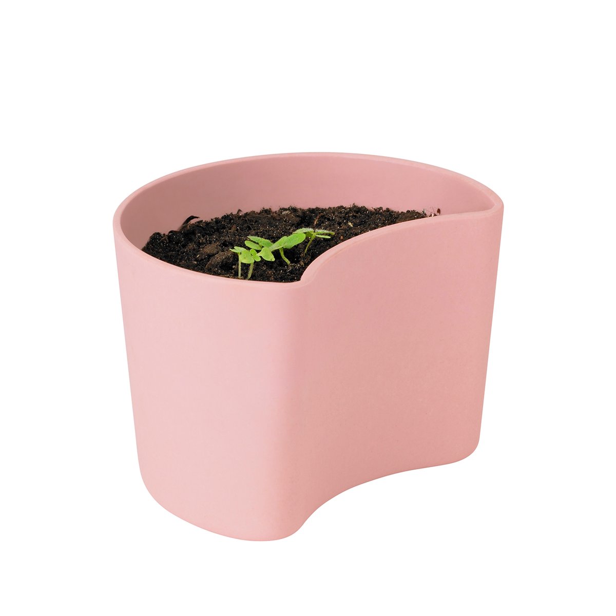RIG-TIG YOUR TREE pot with seeds Pink (Beech) | Scandinavian Design | Flower pots | Pink