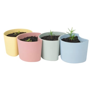 YOUR TREE pot with seeds - Pink (Beech) - RIG-TIG