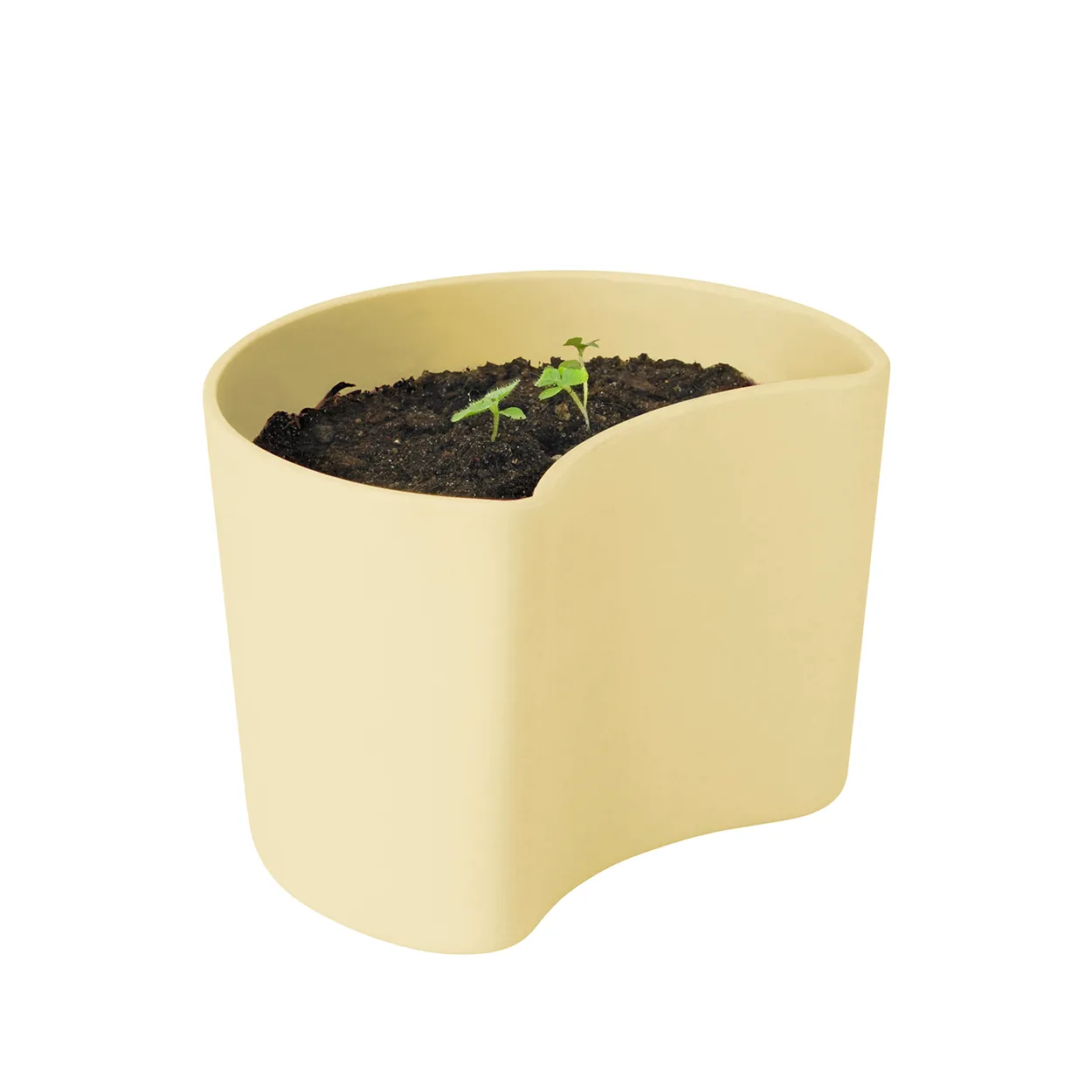 RIG-TIG YOUR TREE pot with seeds Yellow (Beech) | Scandinavian Design | Flower pots | Yellow