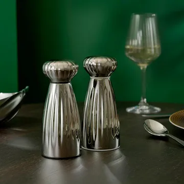 Palm Bright salt and pepper mill set - Small-stainless steel, with tray - Robert Welch