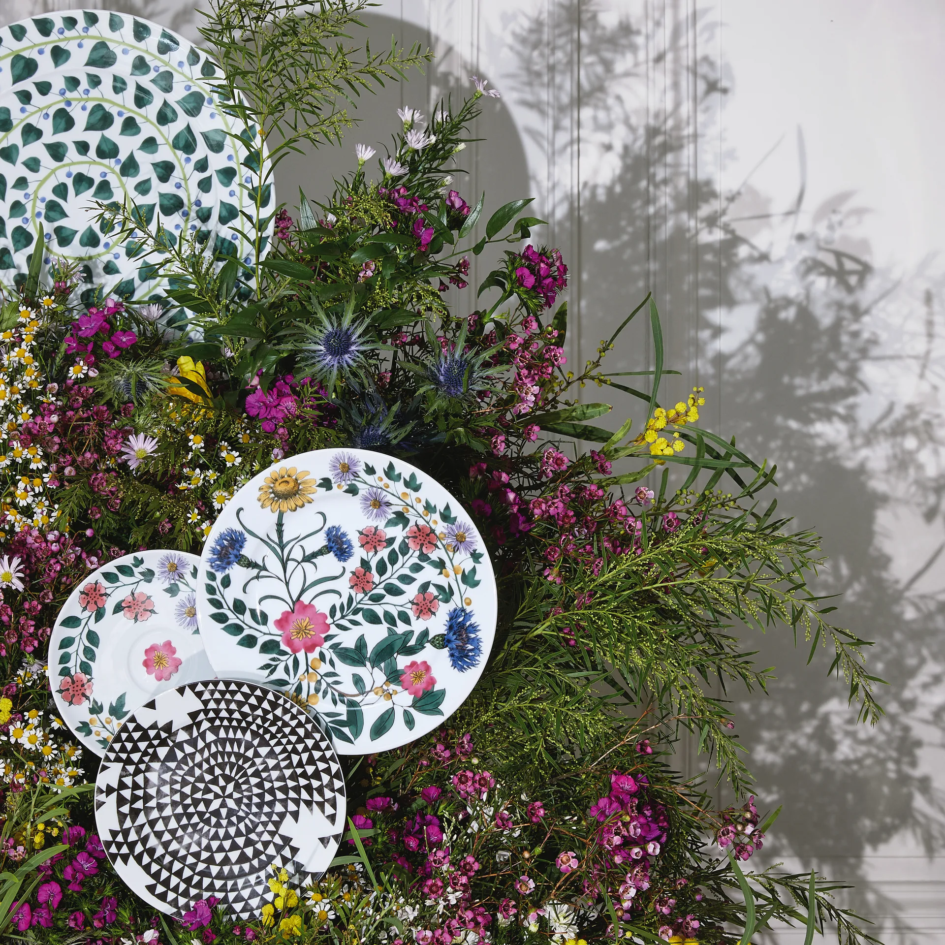Magic Garden Blossom plate 21 cm, multi Rosenthal