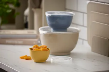 NEW Margrethe bowl set - 6 pieces - Rosti