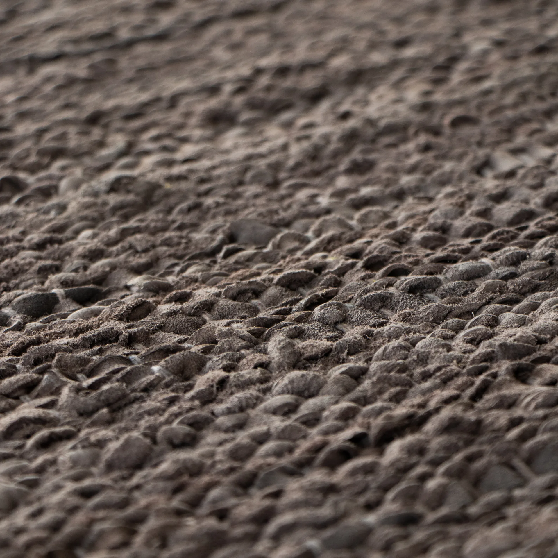Leather rug 200x300 cm, Wood (brown) Rug Solid