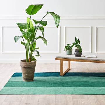 Pet Plastic rug  gradient 60x90 cm - forest - Rug Solid