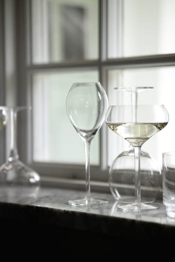 Saga champagne glass 2-pack - Clear - Sagaform