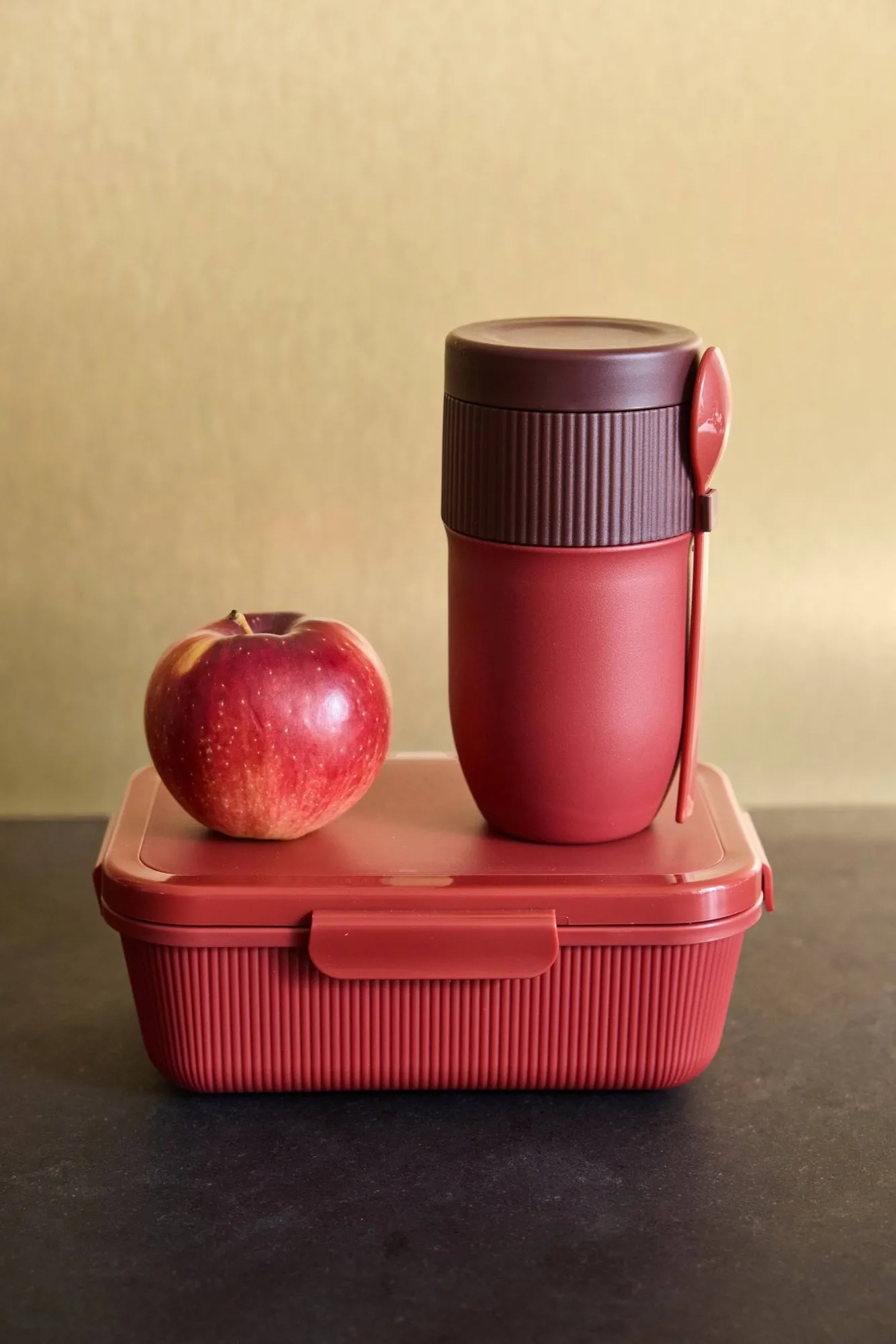Ted food thermos yoghurt mug with spoon, Wine red Pantone 7624C, 32 cl Sagaform