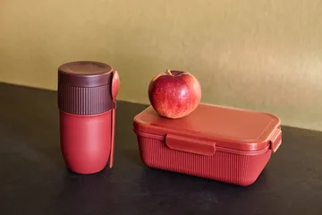 Ted food thermos yoghurt mug with spoon - Wine red Pantone 7624C, 32 cl - Sagaform