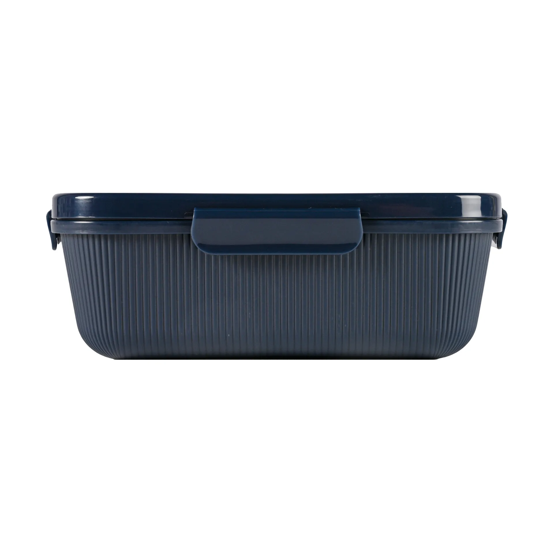 Tina lunch box 1.1 L, Blue Sagaform
