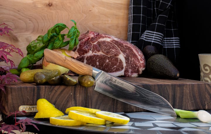Saceilinge Kaizen Santoku knife, 18 cm Satake