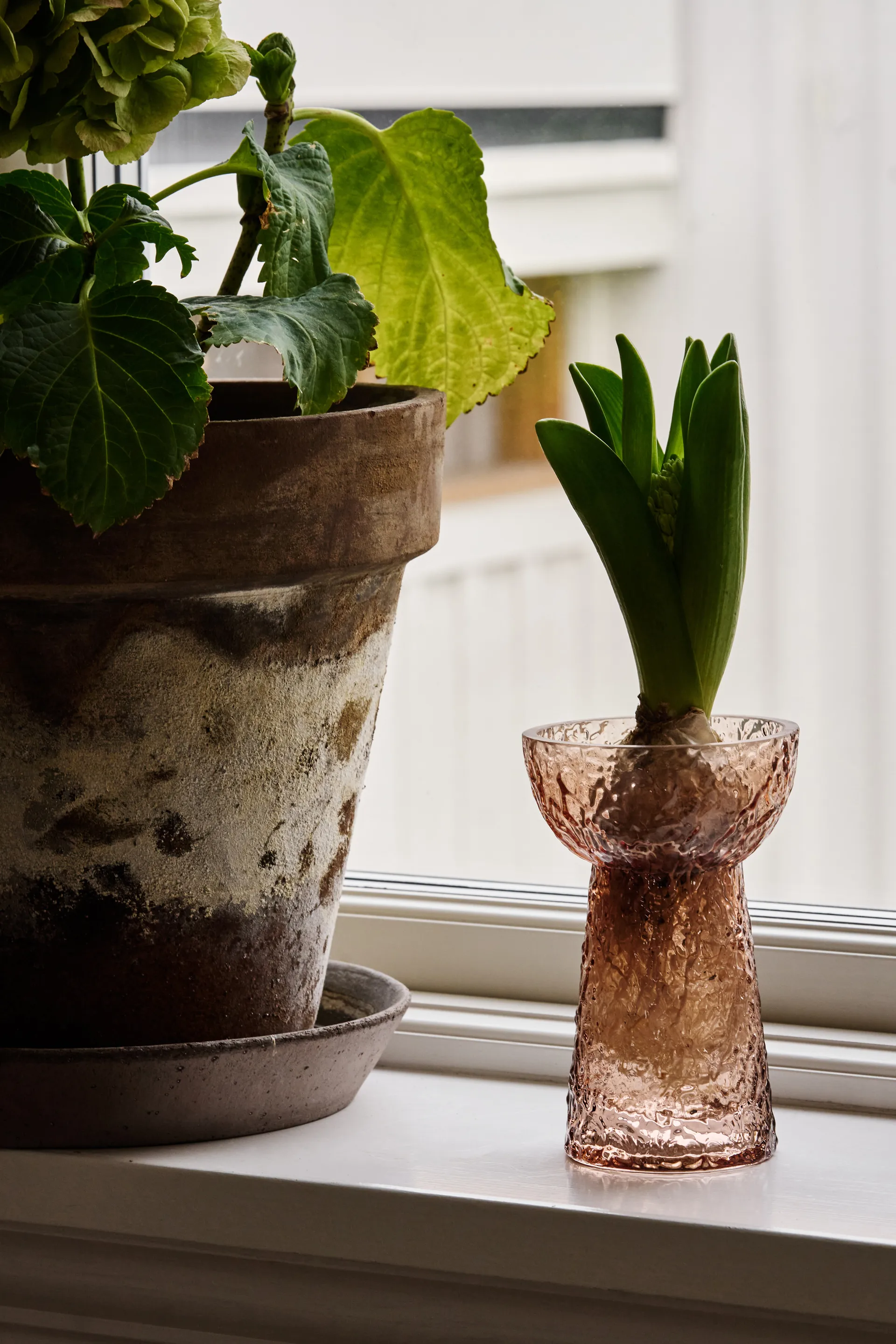 Flor hyacinth vase, Brown Scandi Living