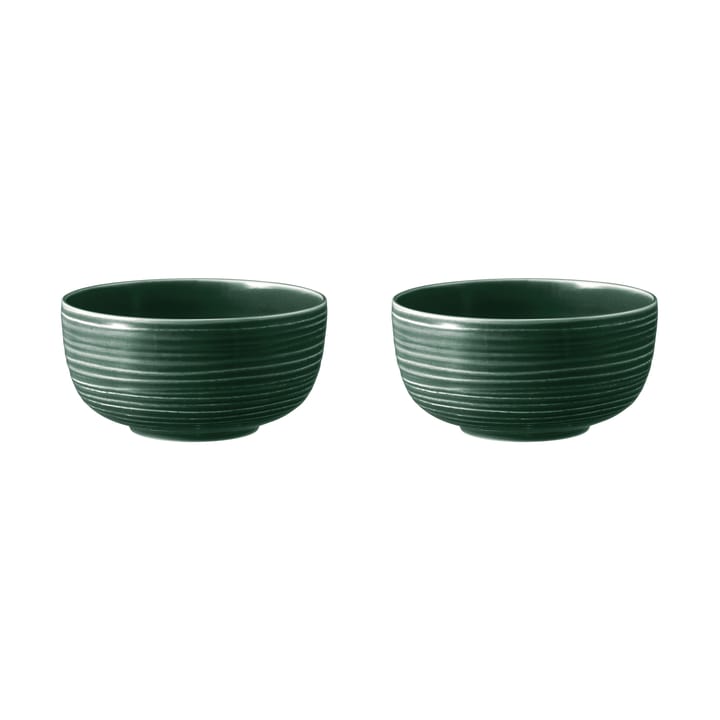 Terra bowl Ø17.7 cm 2-pack - Moss Green - Seltmann Weiden