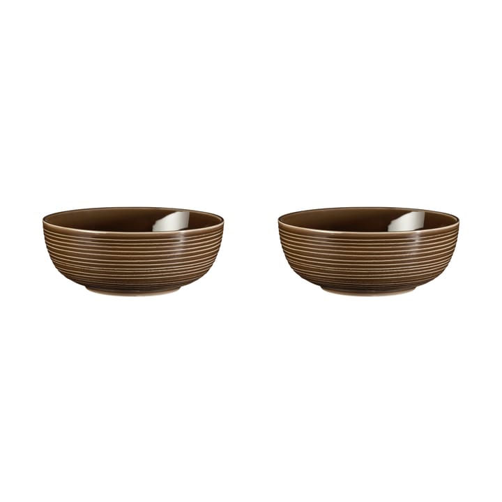 Terra bowl Ø20.4 cm 2-pack - Earth Brown - Seltmann Weiden