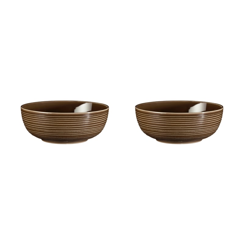 Seltmann Weiden Terra bowl Ø20.4 cm 2-pack Earth Brown