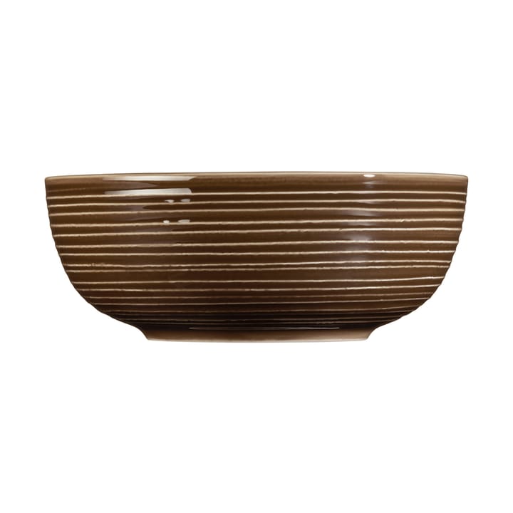 Terra bowl Ø20.4 cm 2-pack - Earth Brown - Seltmann Weiden