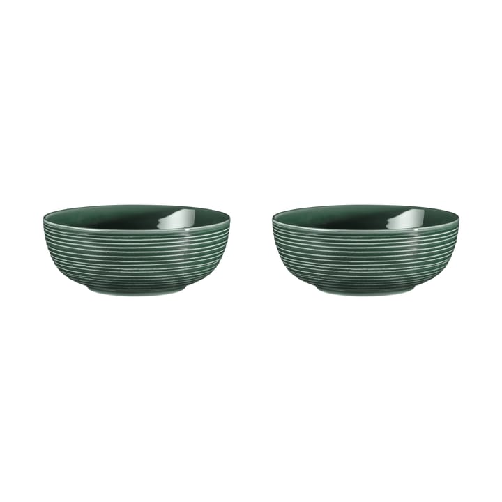 Terra bowl Ø20.4 cm 2-pack - Moss Green - Seltmann Weiden