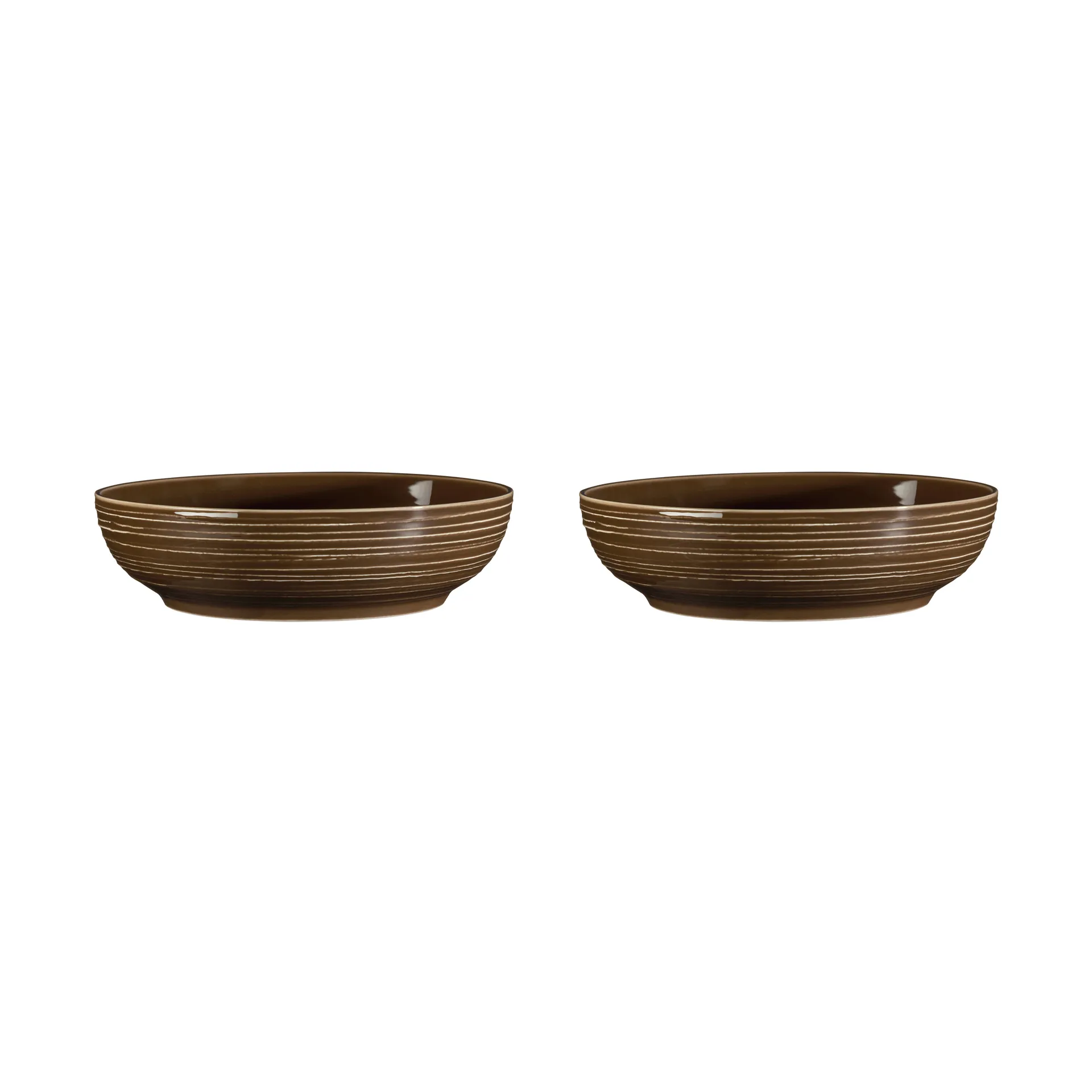Terra bowl Ø25.5 cm 2-pack, Earth Brown Seltmann Weiden