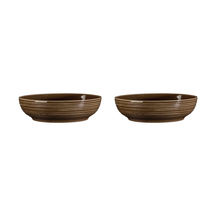 Terra bowl Ø25.5 cm 2-pack - Earth Brown - Seltmann Weiden