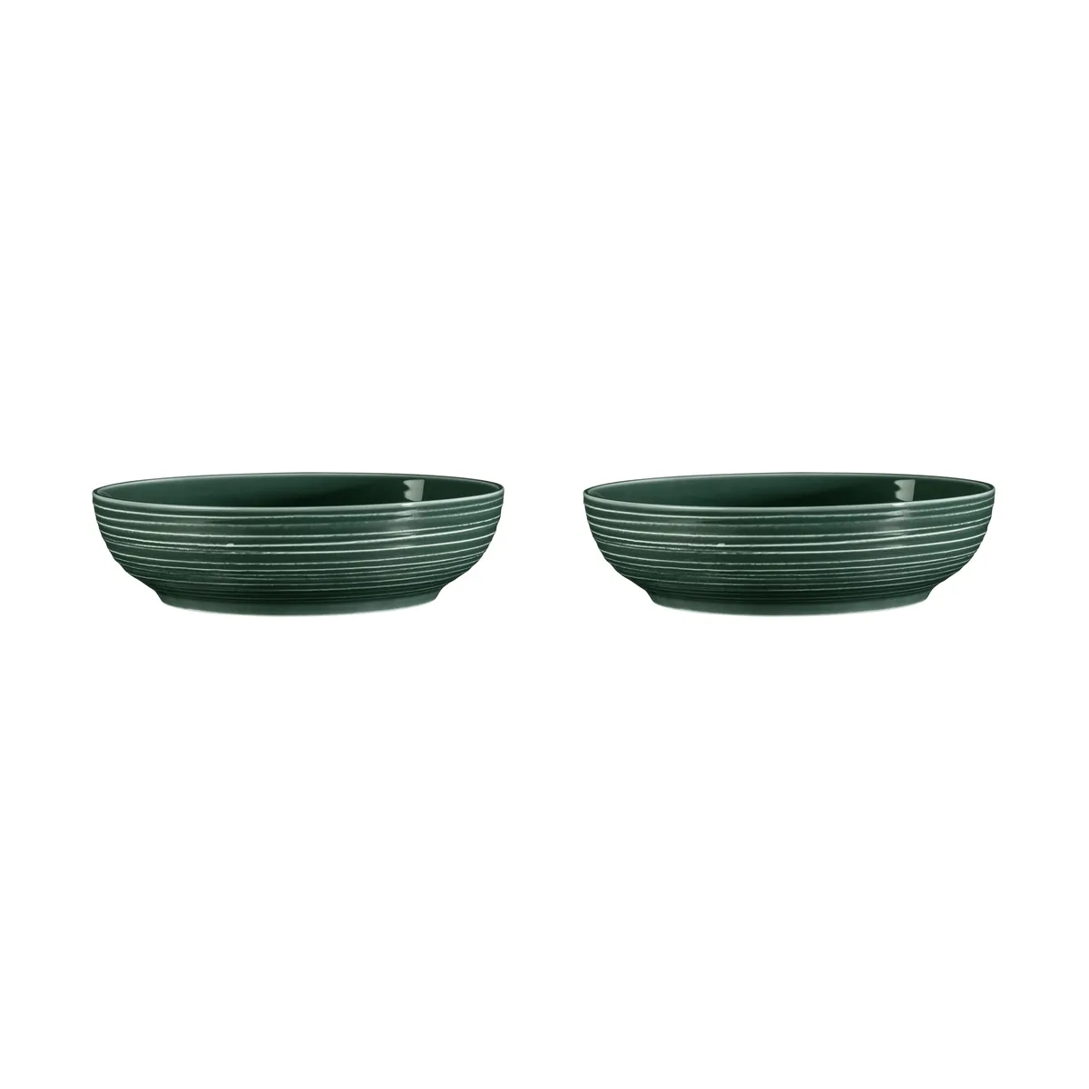 Seltmann Weiden Terra bowl Ø25.5 cm 2-pack Moss Green