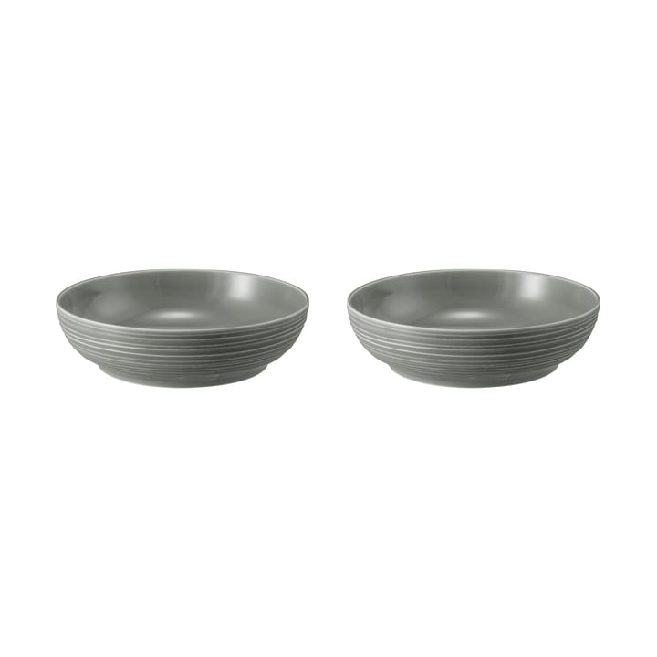 Terra bowl Ø25.5 cm 2-pack - Pearl Grey - Seltmann Weiden