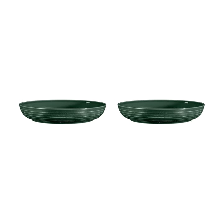 Terra bowl Ø28 cm 2-pack - Moss Green - Seltmann Weiden