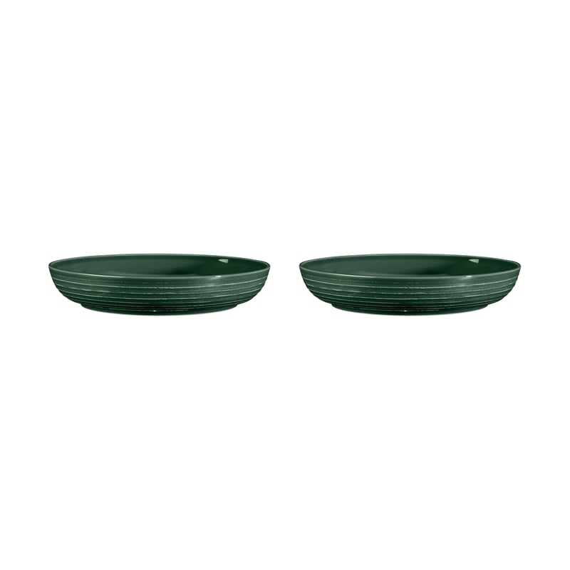 Seltmann Weiden Terra bowl Ø28 cm 2-pack Moss Green