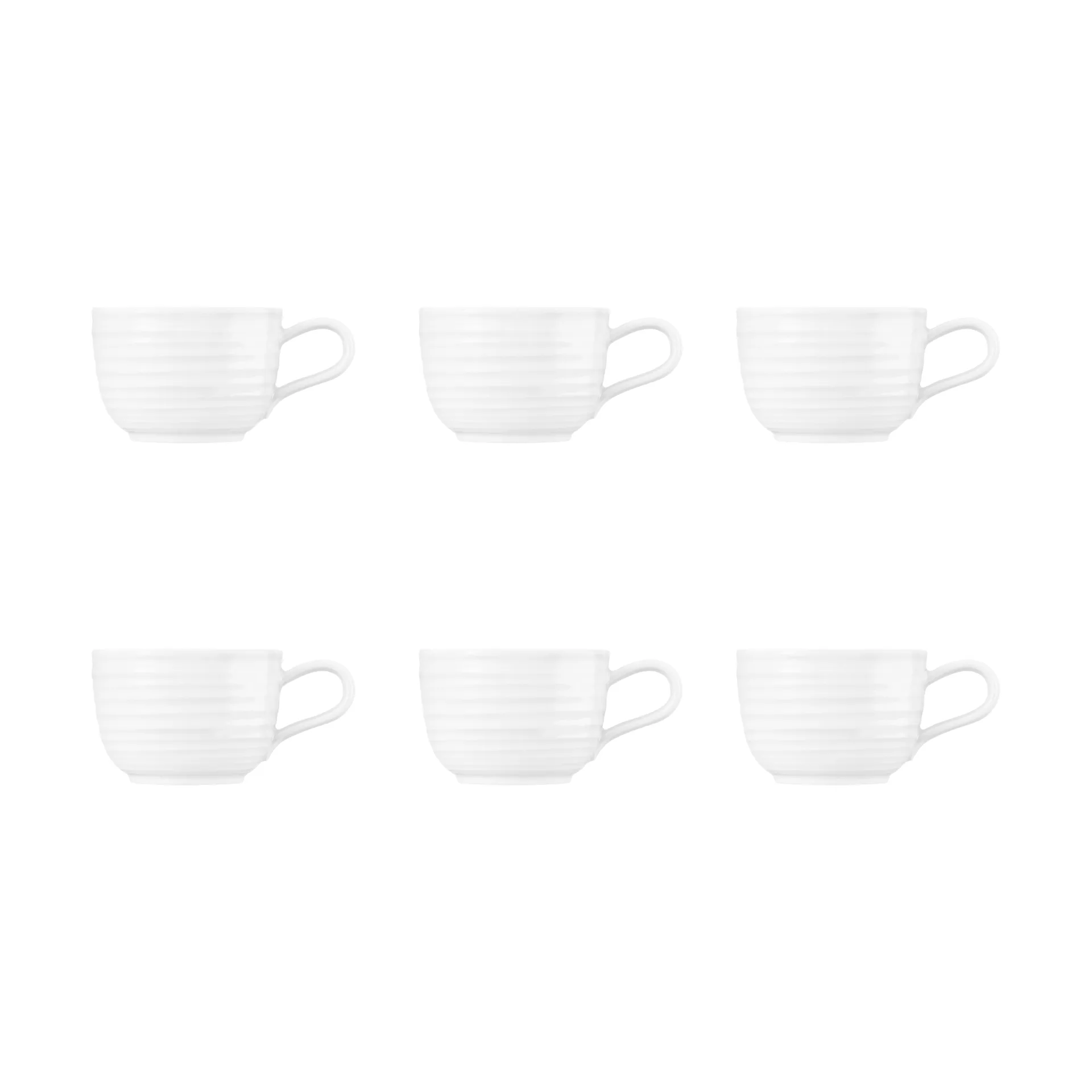 Terra cup 20 cl 6-pack, White Seltmann Weiden