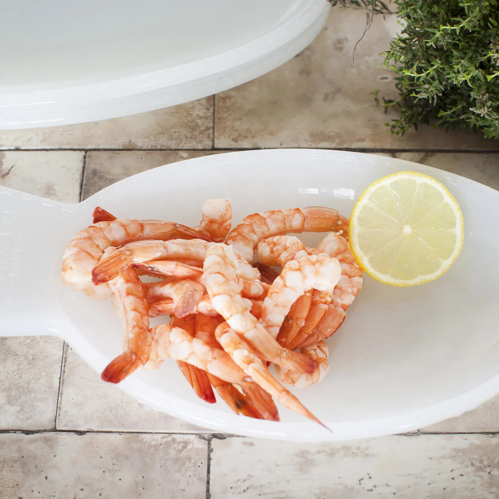 Fish & Fish serving saucer 14x26 cm, milky white Serax