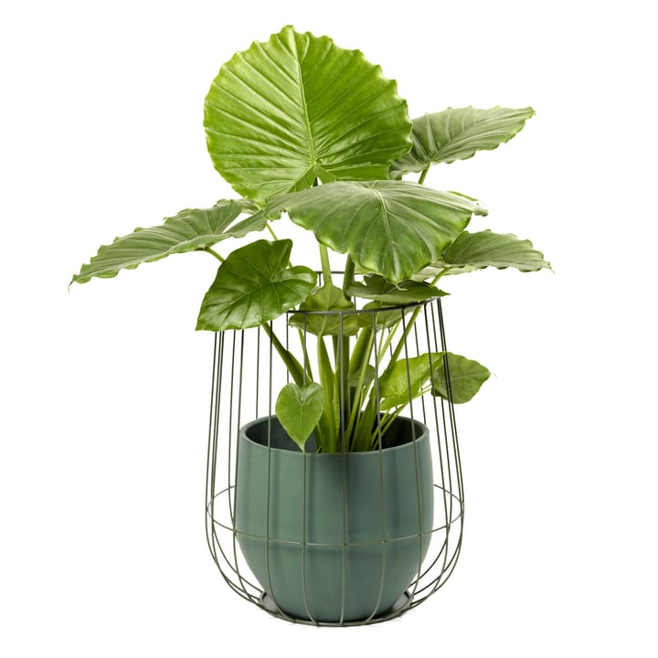 Serax flower pot in basket Ø37 cmh46 cm, army green Serax