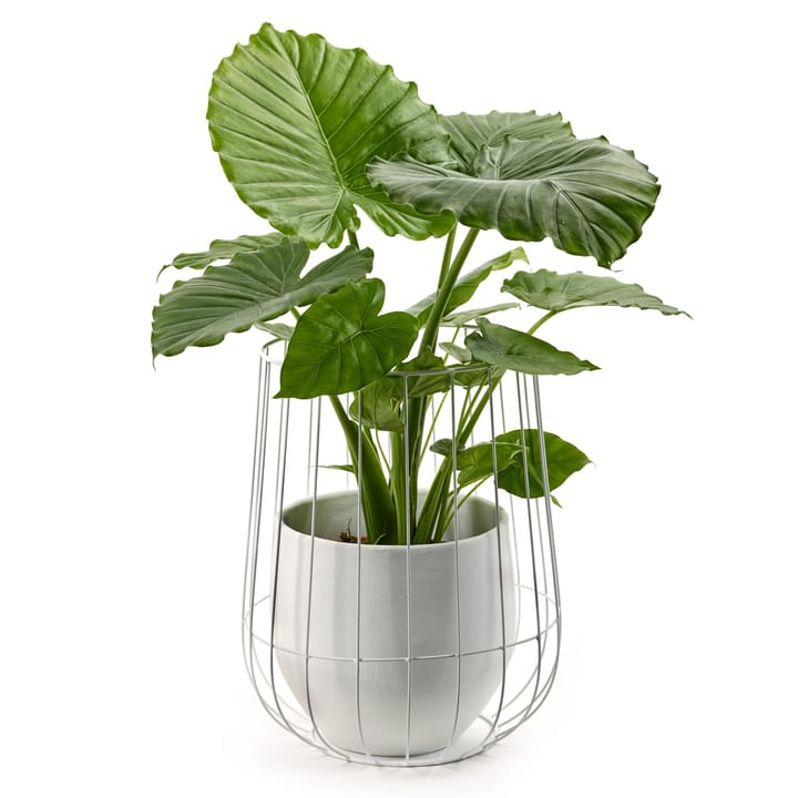 Serax flower pot in basket Ø37 cmh46 cm - white - Serax