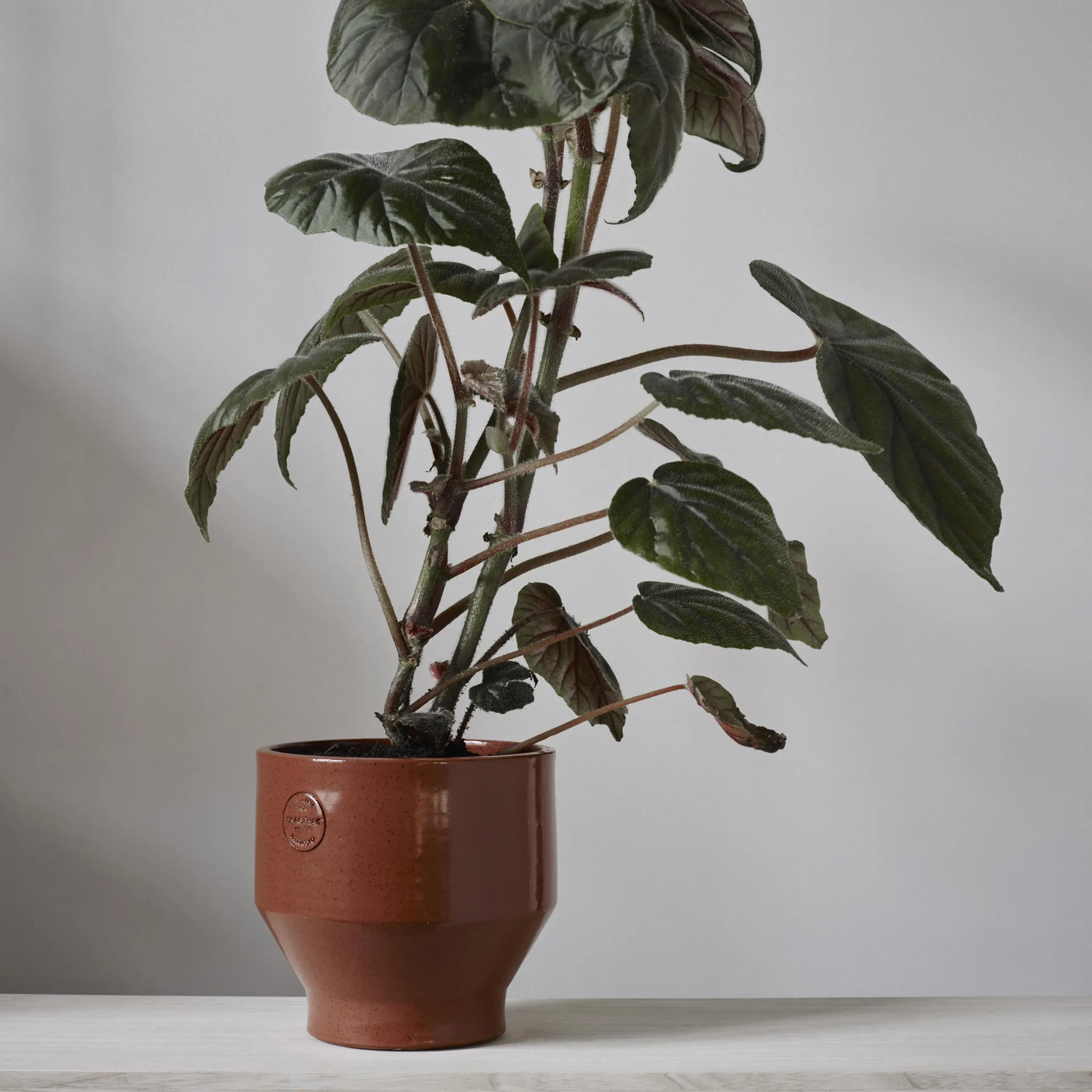 Edge pot (indoor) Ø15 cm, burned red Skagerak