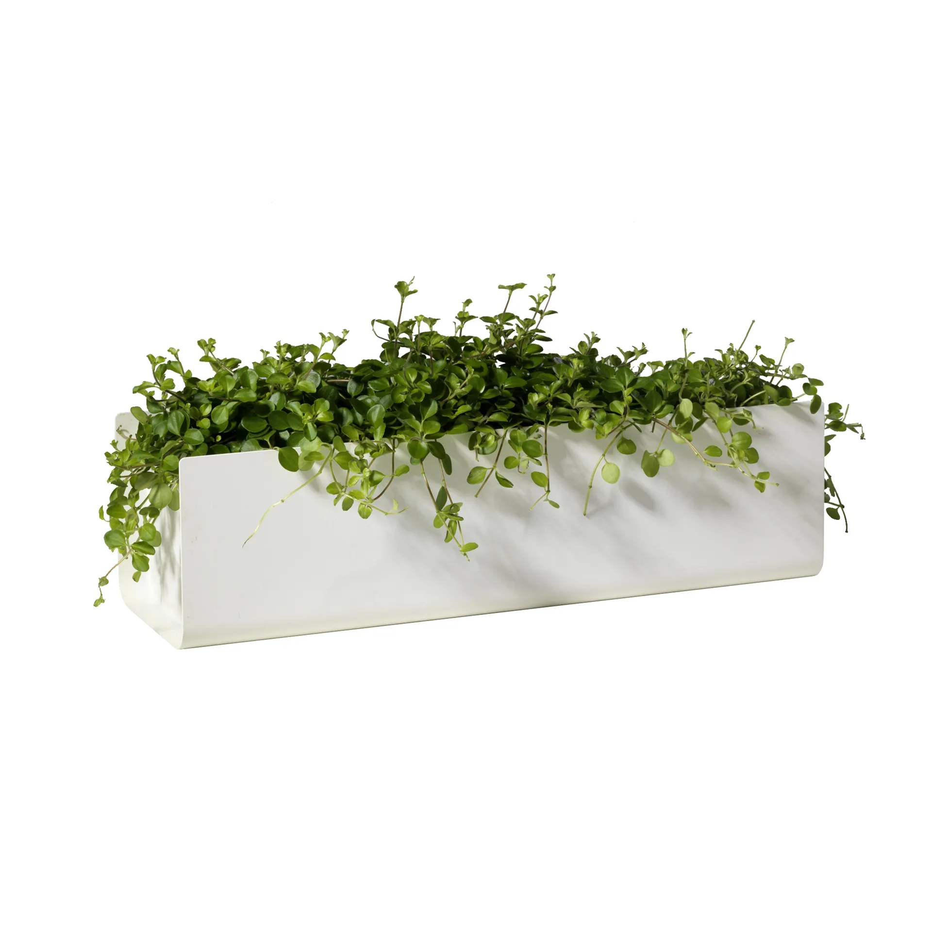 Jorda window box, White 60 cm SMD Design