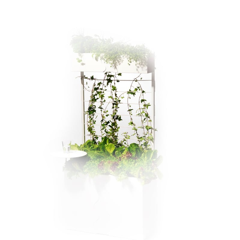 SMD Design Urban trellis White