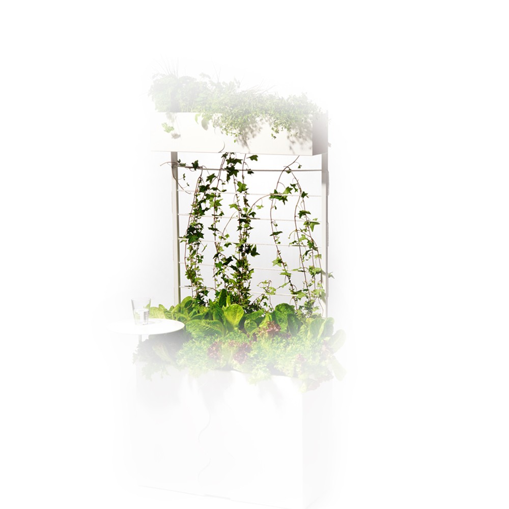 SMD Design Urban trellis White