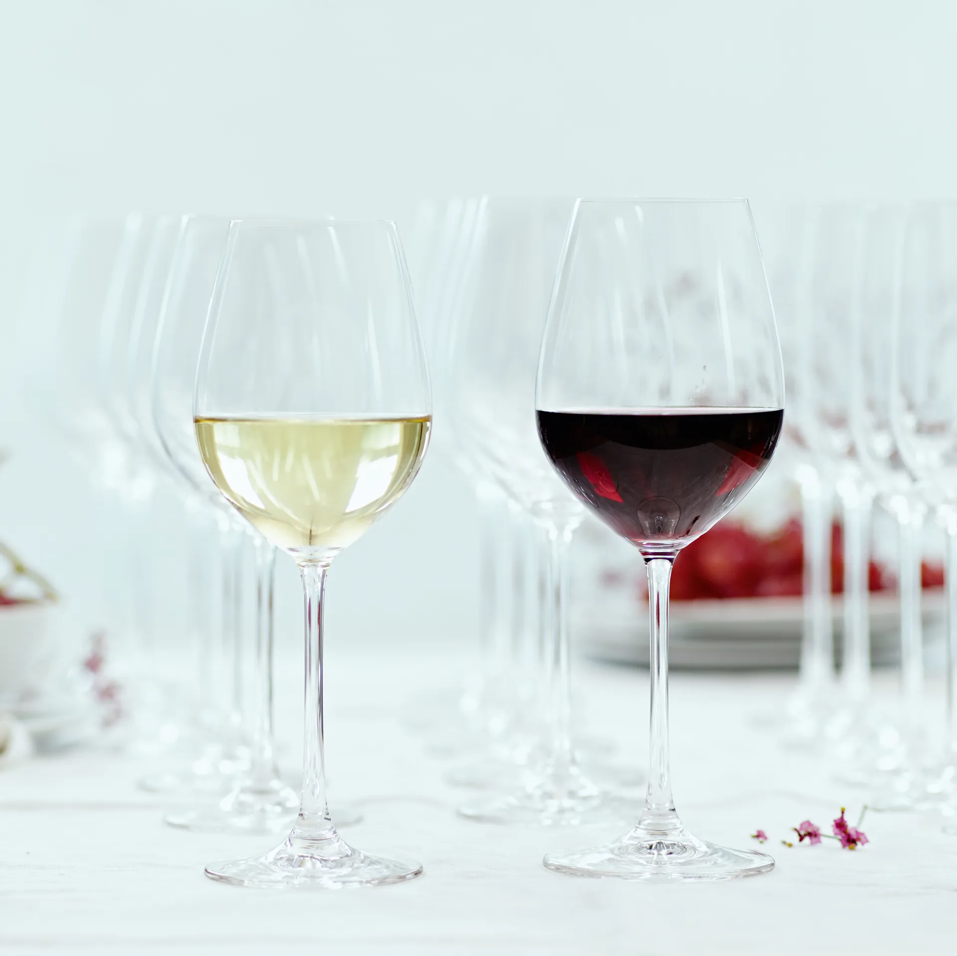 Salute White wine glass 47cl. 4-pack, clear Spiegelau