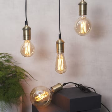 Classical cord with plug - black-brass - Star Trading