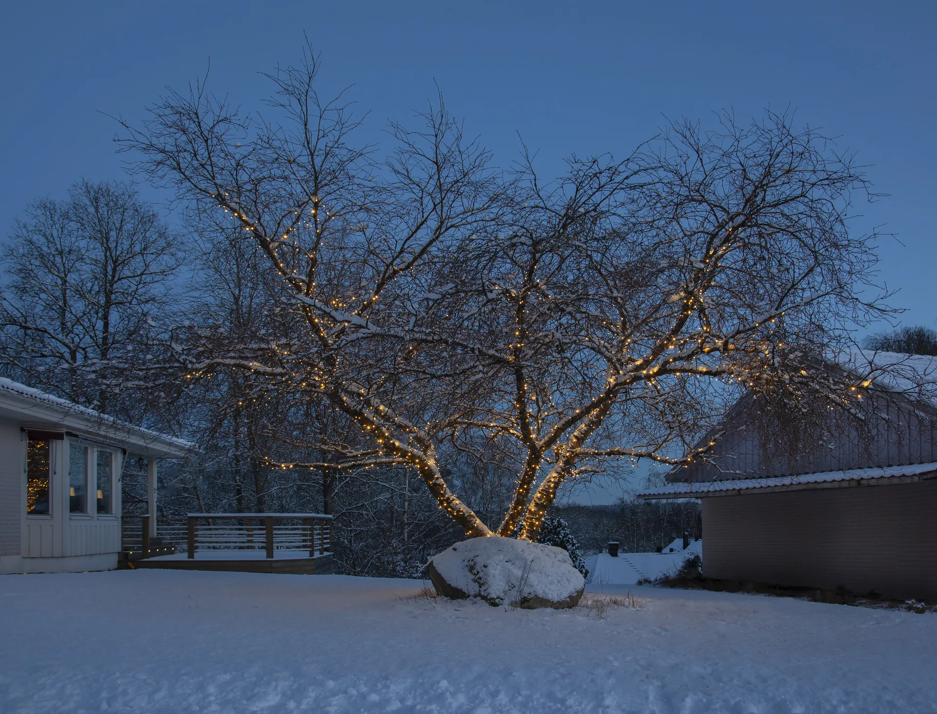 Star Trading system LED starter cable, 180 cm Star Trading