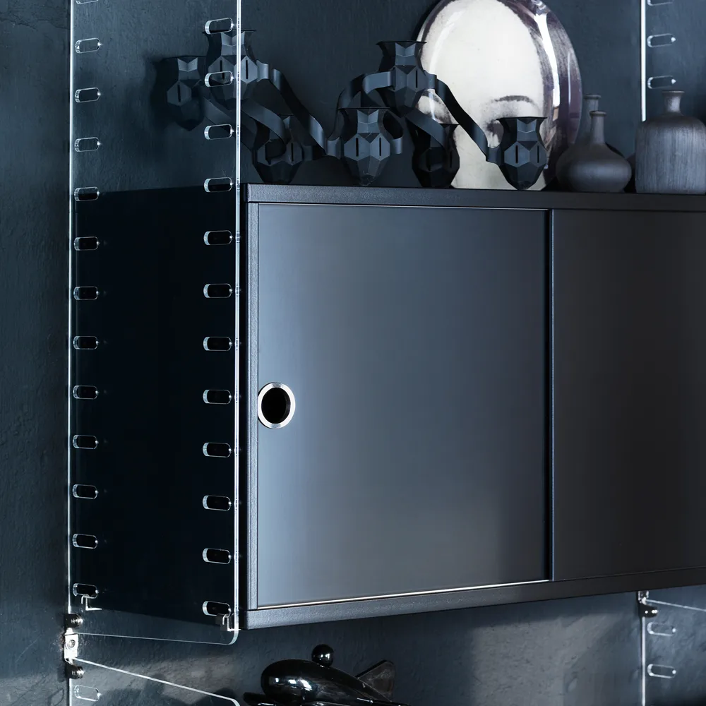 String Plex wall panel, Transparent, 50x30 cm, 2-pack String