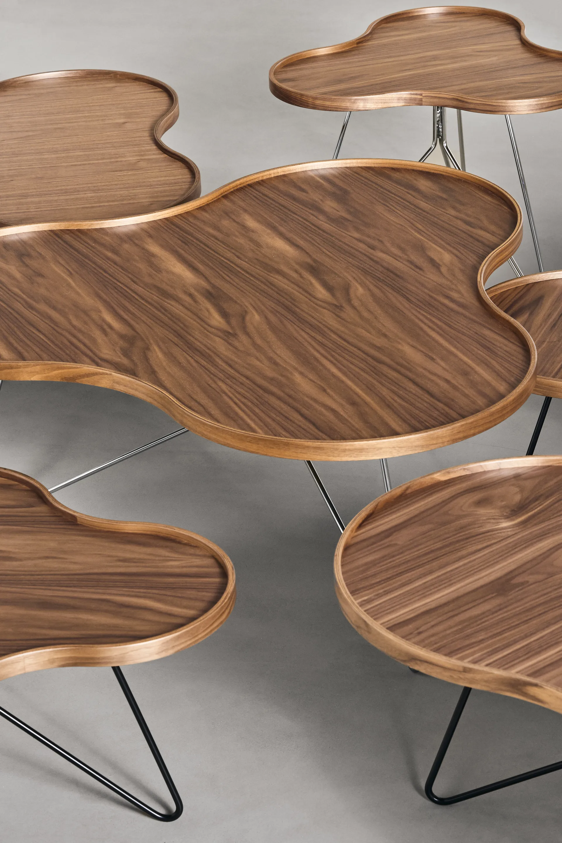 Flower mono table Special Edition 62x66 cm, H39 cm-lacquered walnut-black lacquered steel Swedese