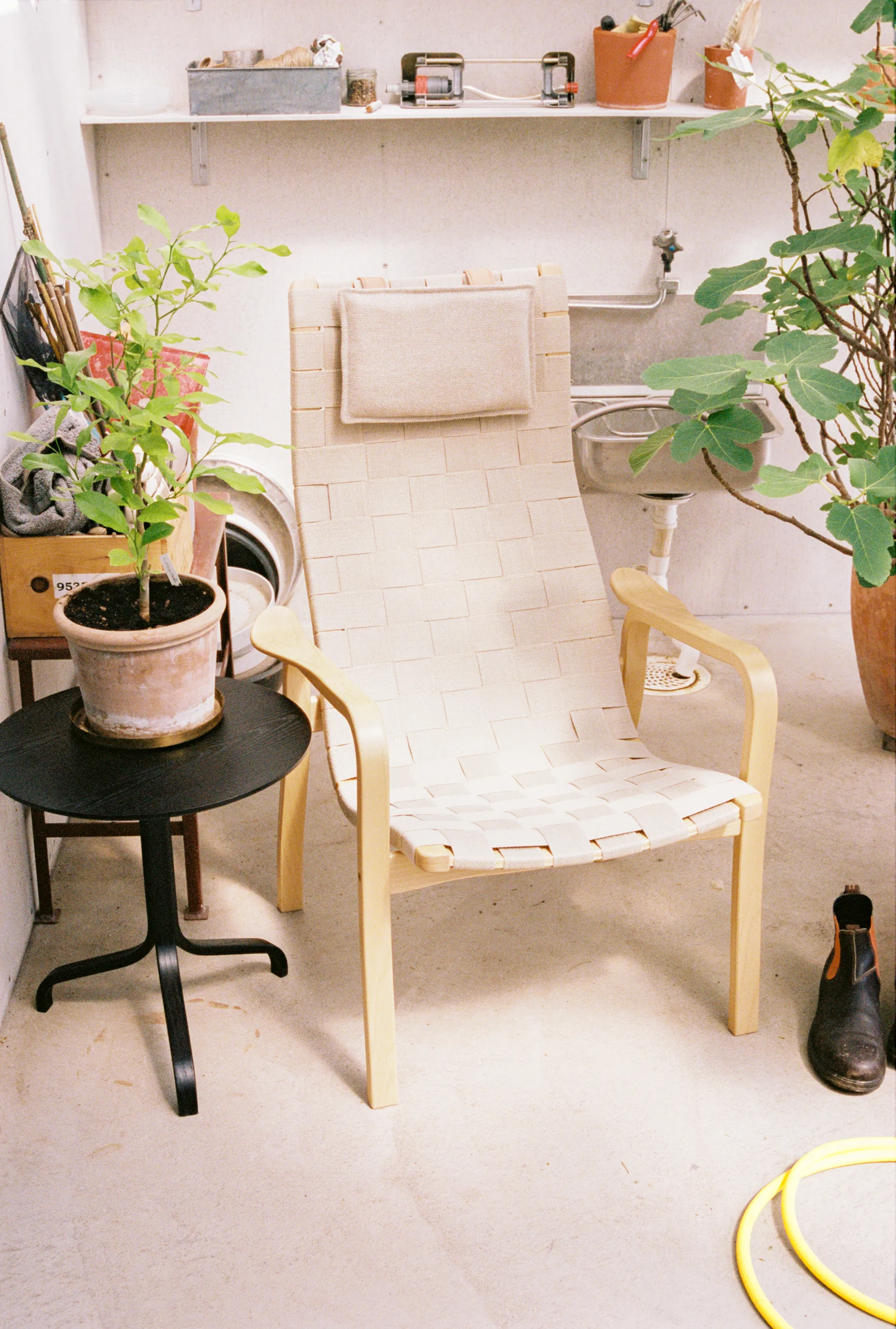Primo arm chair high with neck cushion laquered beech, Natural Swedese